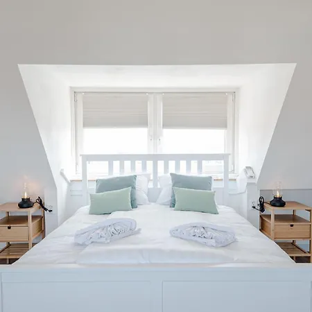 Albatros Aan Zee - Zandvoort