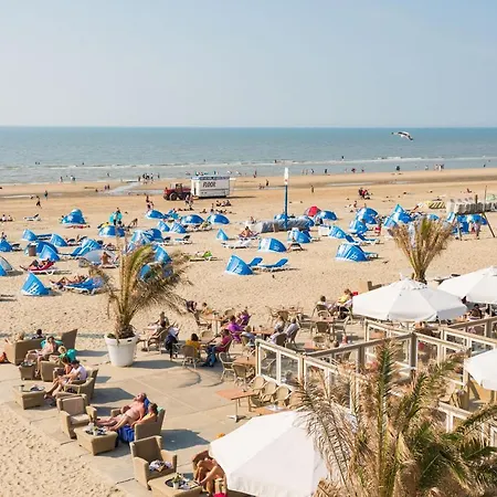 Albatros Aan Zee - Zandvoort
