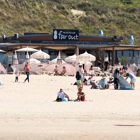 Albatros Aan Zee - *